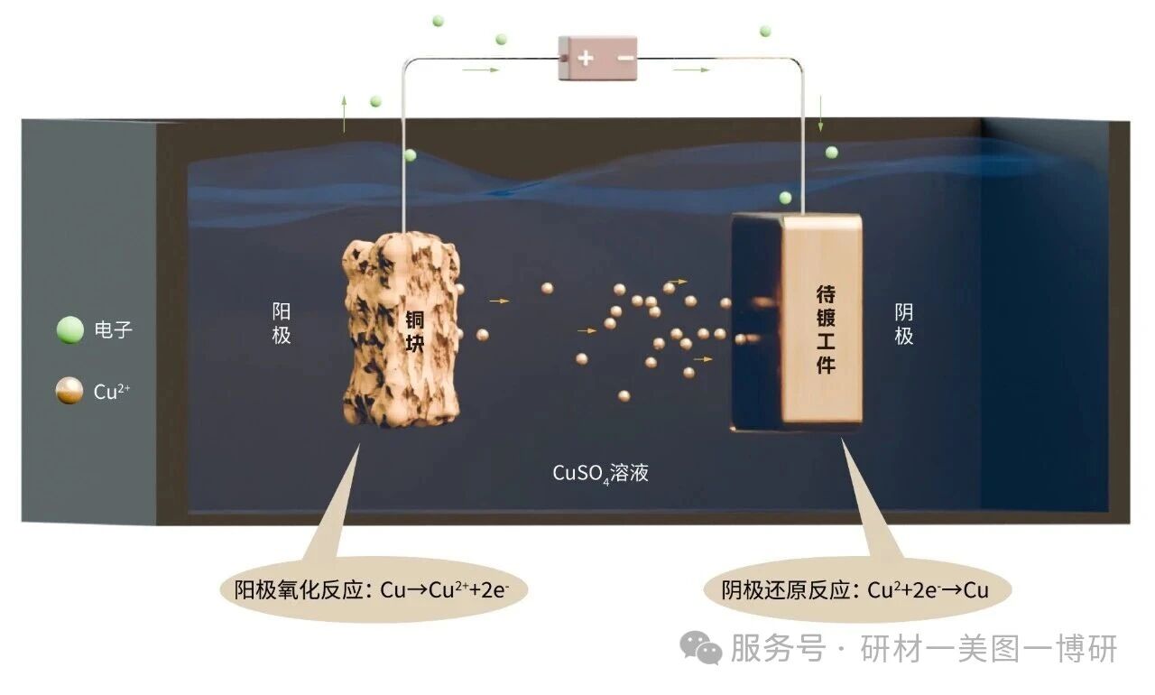 微信图片_2026-02-25_164857_445.jpg