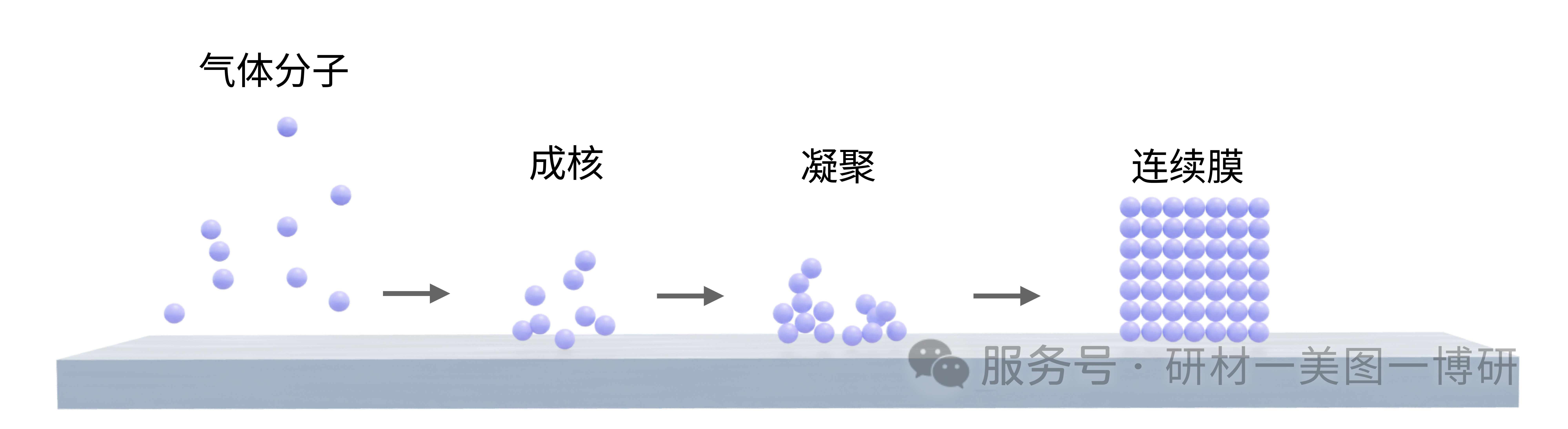 微信图片_2026-02-25_143804_371.png