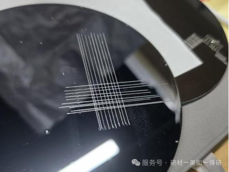 微信图片_2026-02-25_161715_378.png