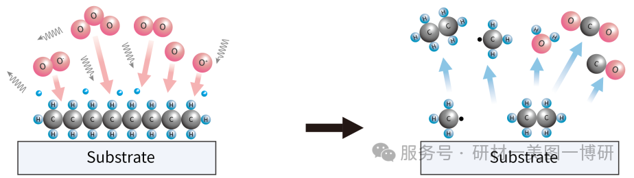 微信图片_2026-02-25_161636_832.png