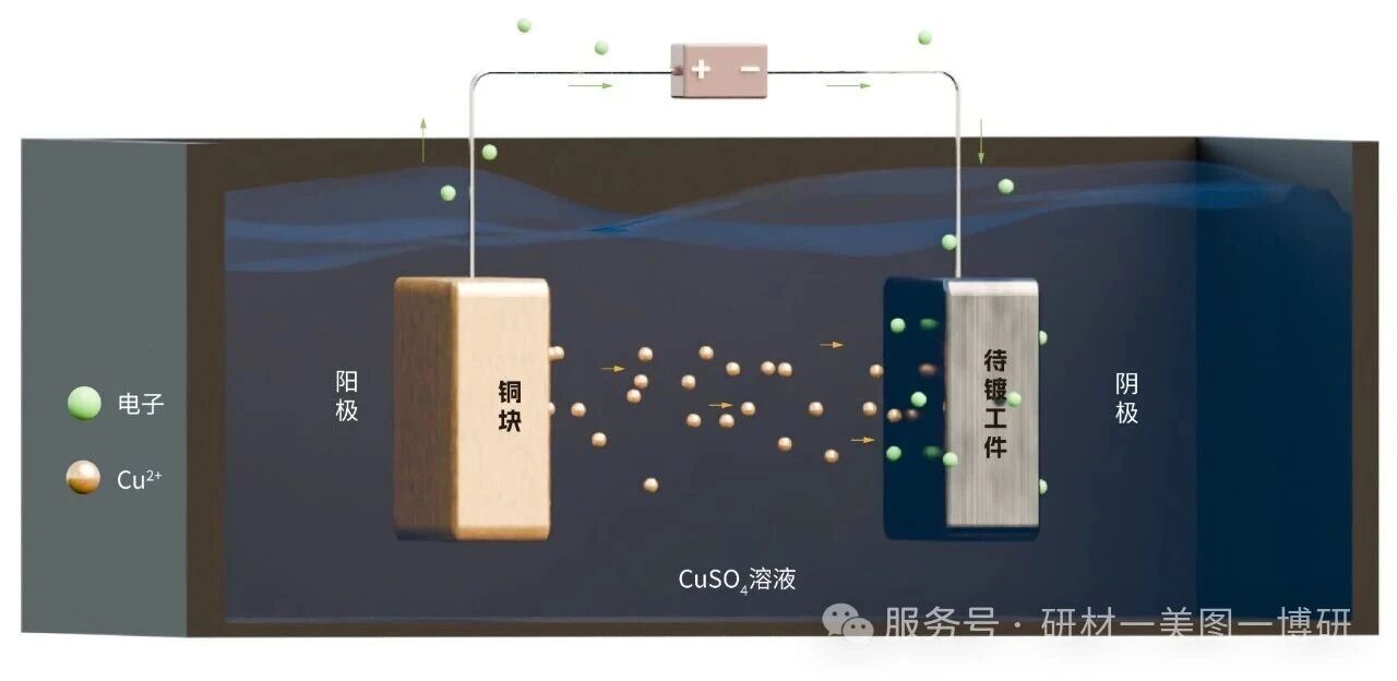 微信图片_2026-02-25_164852_288.jpg